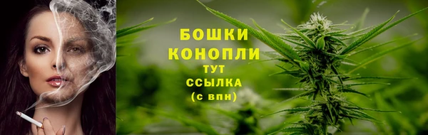 ALPHA-PVP Новозыбков