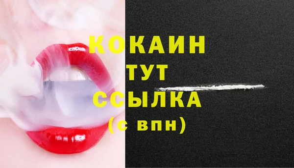 герыч Новодвинск
