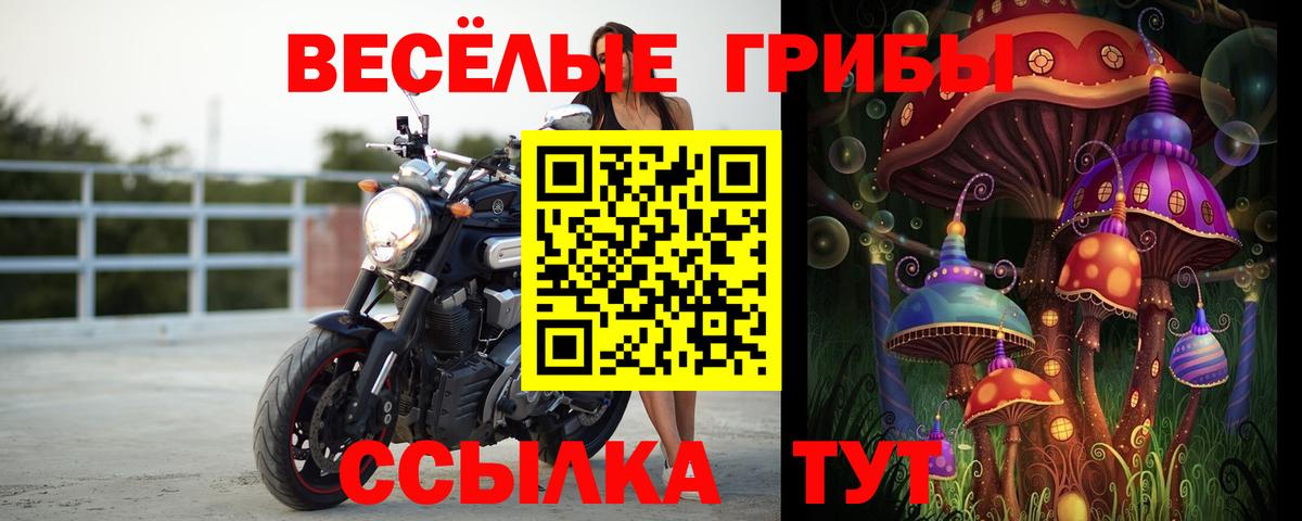 Псилоцибиновые грибы Cubensis Ялуторовск